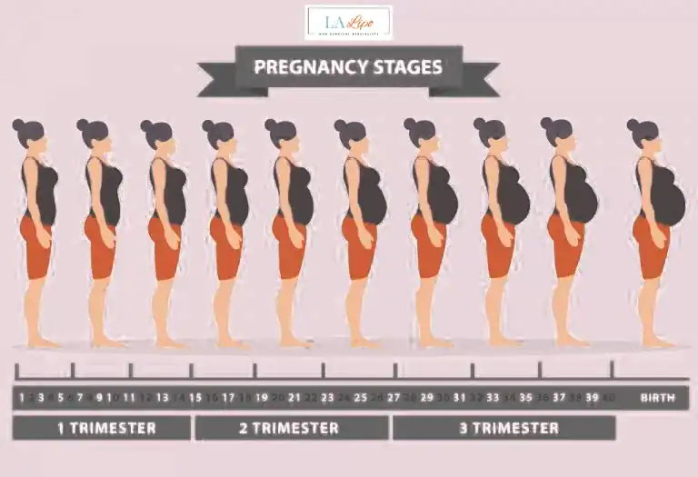 First Trimester (Weeks 1–12): Early Changes You Might Not Notice Pinner